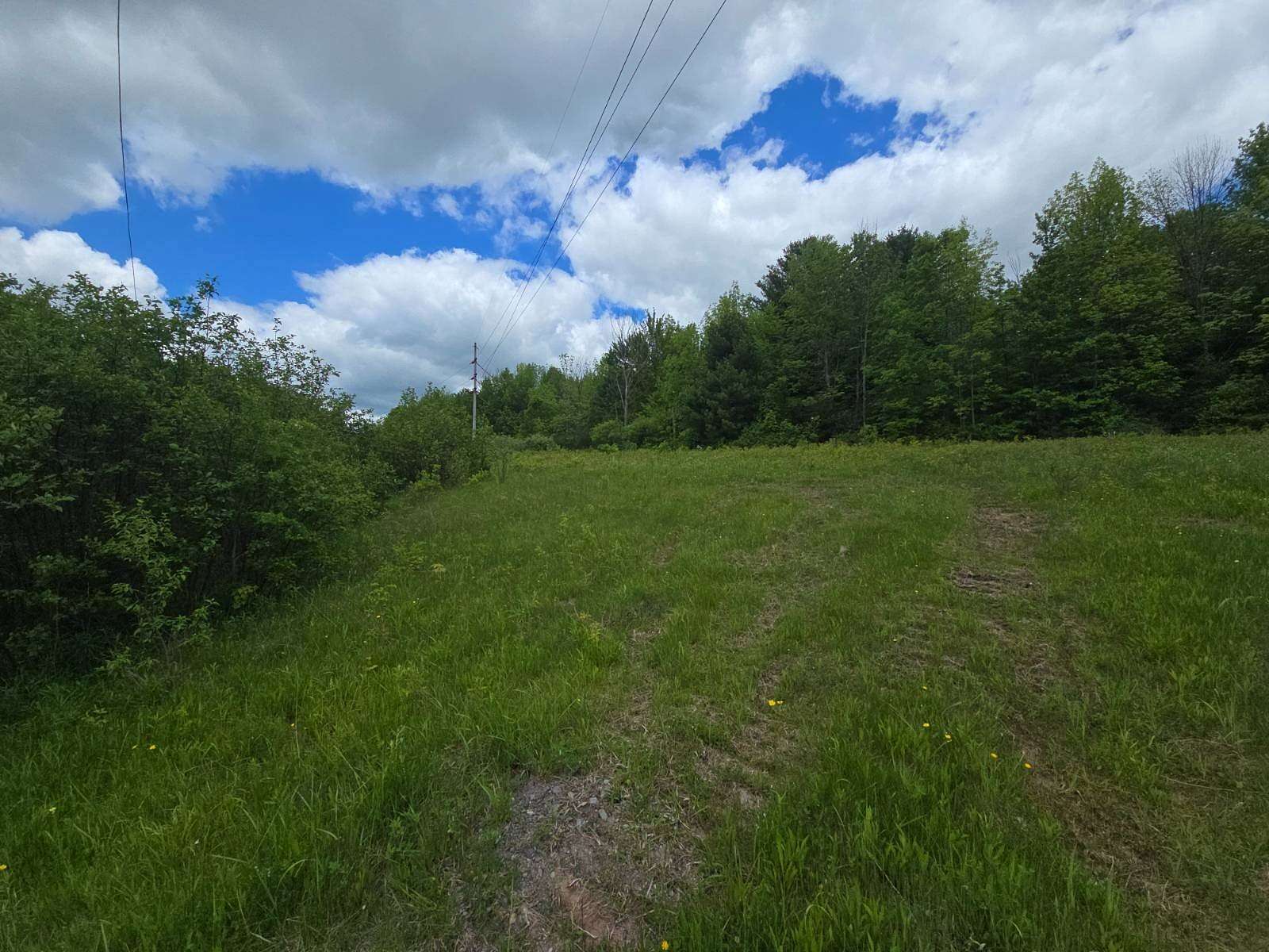 43.8 Acres of Recreational & Residential Land for Sale in Norwich, New York