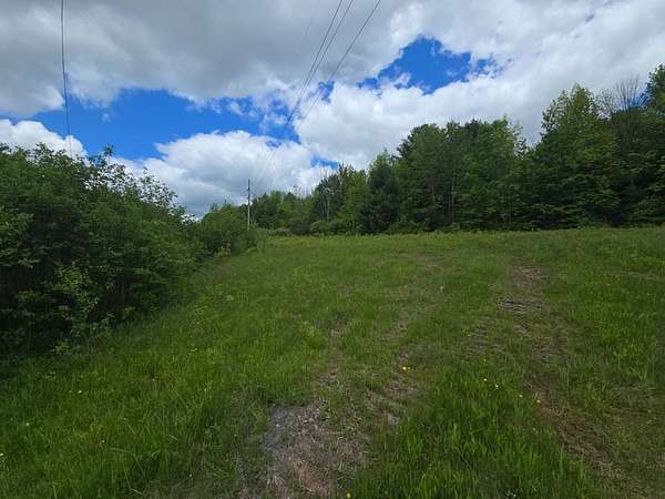 43.8 Acres of Recreational & Residential Land for Sale in Norwich, New York