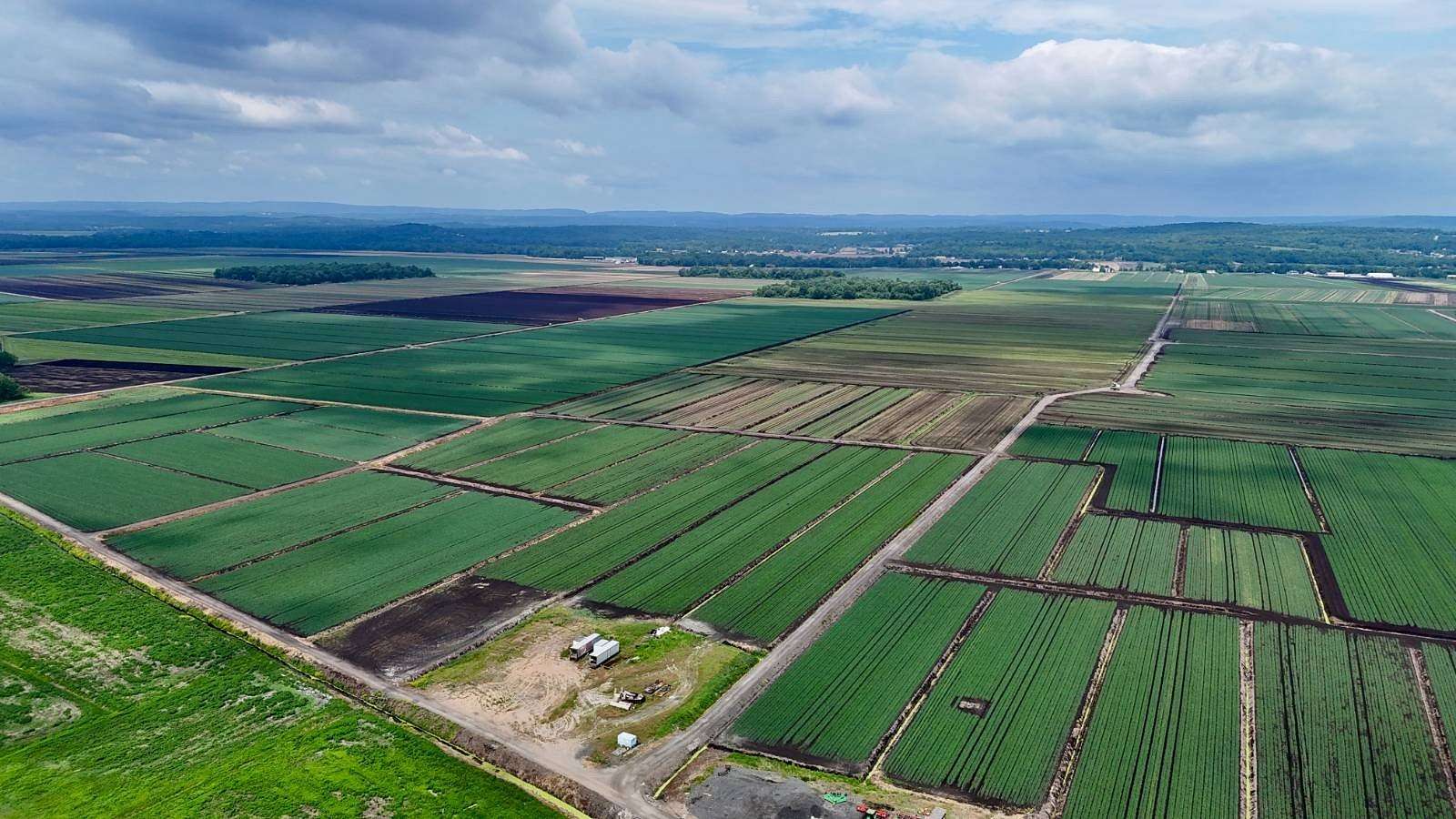 39.1 Acres of Agricultural Land for Sale in Goshen, New York