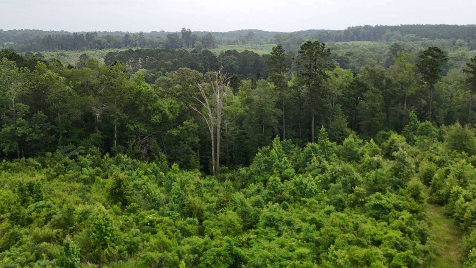 3.5 Acres of Residential Land for Sale in Zwolle, Louisiana