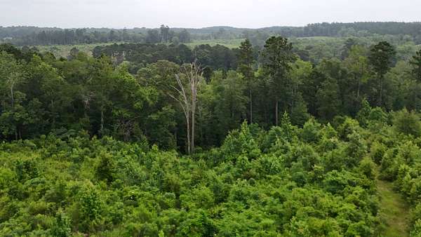 3.5 Acres of Residential Land for Sale in Zwolle, Louisiana
