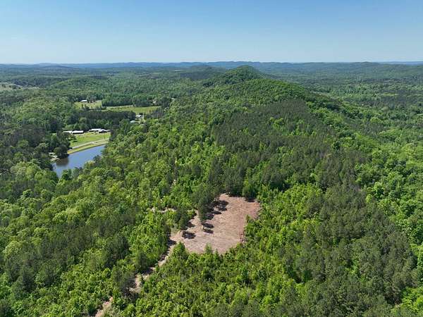 77.1 Acres of Recreational & Residential Land for Sale in Piedmont, Alabama