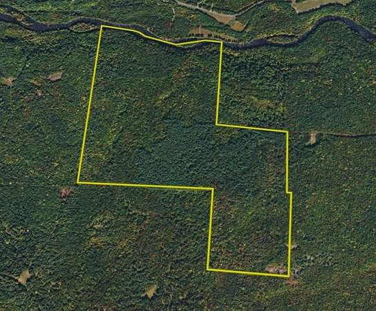 173 Acres of Recreational Land for Sale in Dickinson, New York