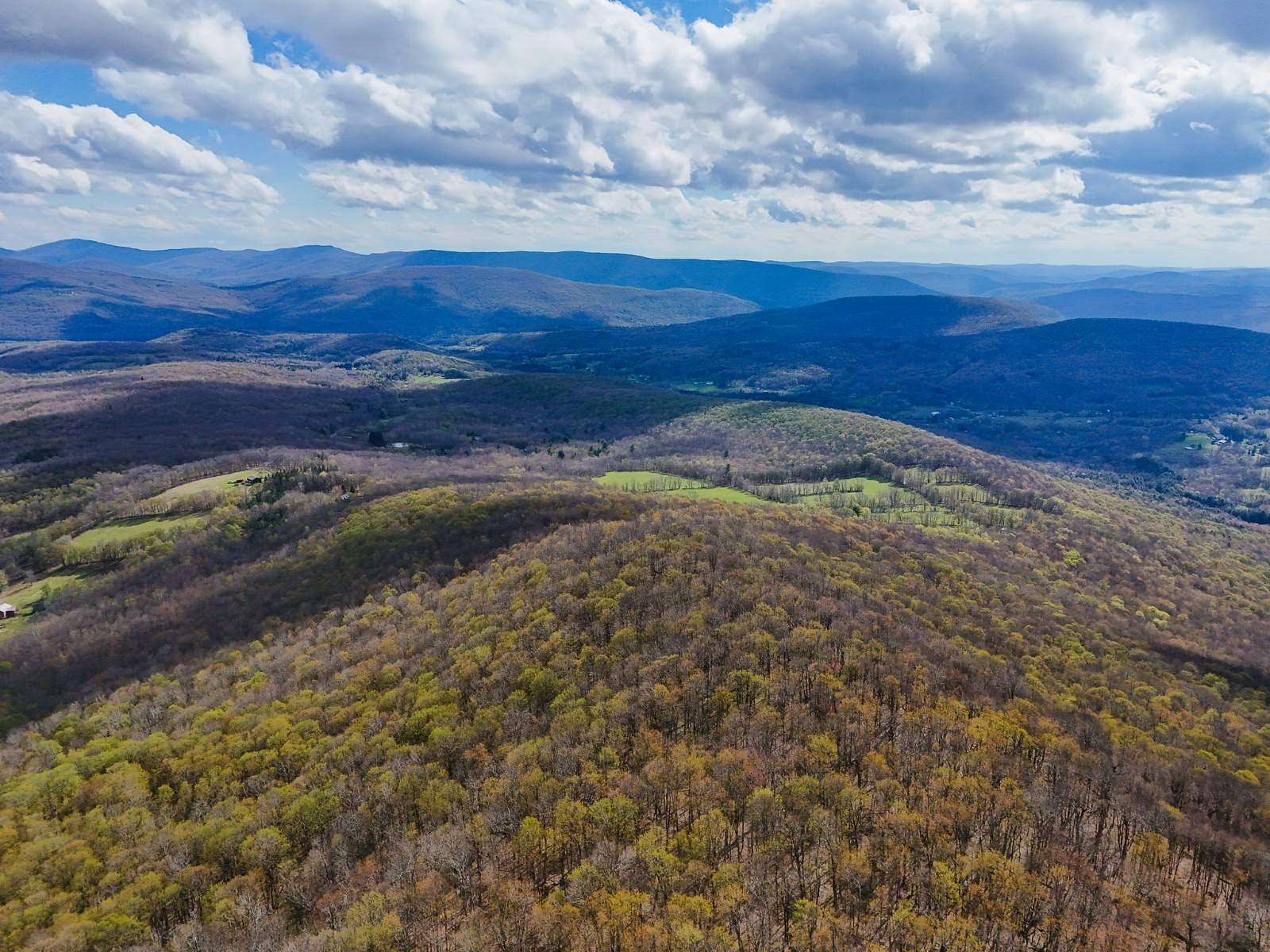 39.3 Acres of Recreational & Residential Land for Sale in Fleischmanns, New York