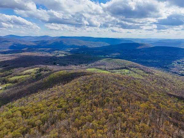 39.3 Acres of Recreational & Residential Land for Sale in Fleischmanns, New York