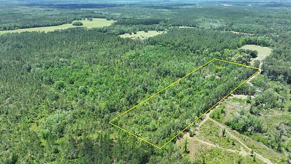 10 Acres of Recreational & Residential Land for Sale in Vernon, Florida