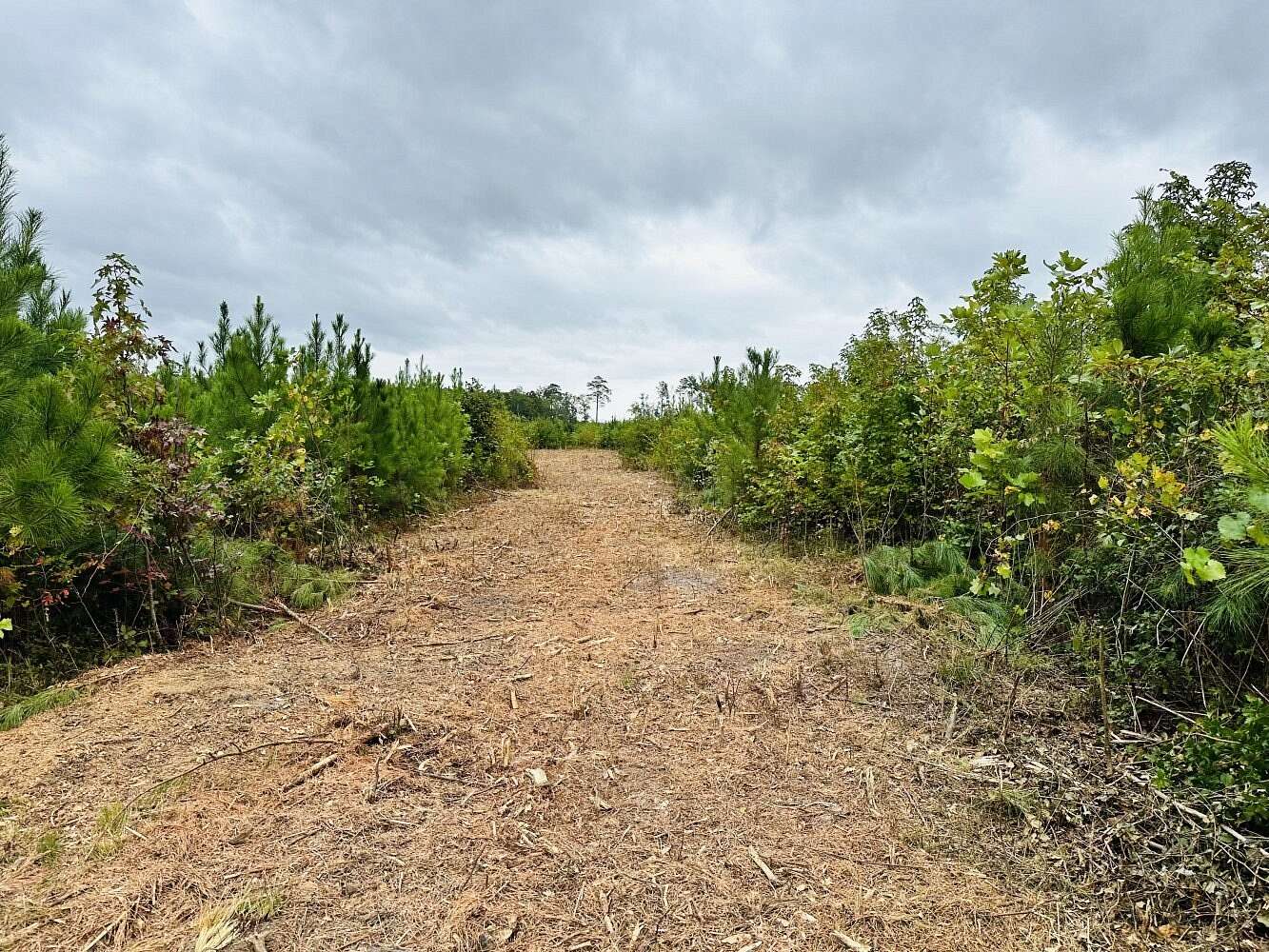 85.5 Acres of Recreational Land for Sale in Gloucester, Virginia