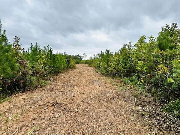 85.5 Acres of Recreational Land for Sale in Gloucester, Virginia