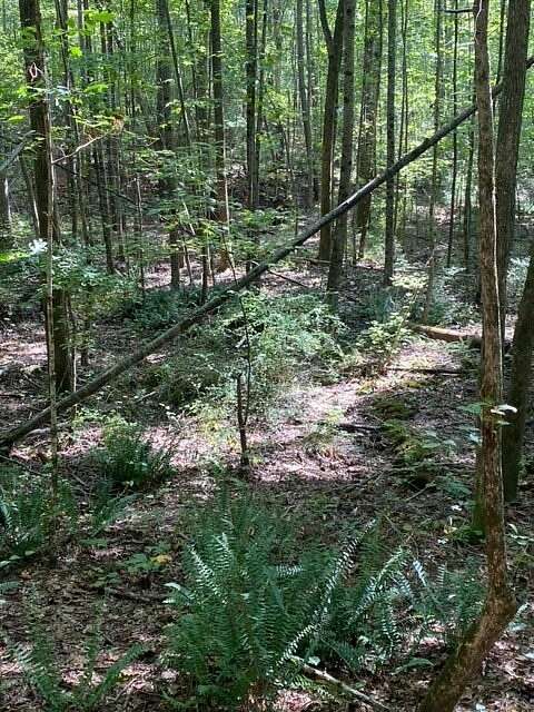 14.3 Acres of Land for Sale in Opelika, Alabama