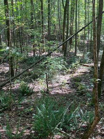 14.3 Acres of Land for Sale in Opelika, Alabama