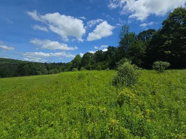 21.6 Acres of Recreational & Residential Land for Sale in Whitney Point, New York