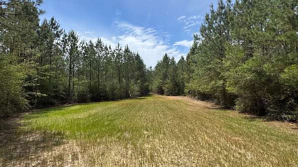 165 Acres of Recreational & Residential Land for Sale in Lucedale, Mississippi