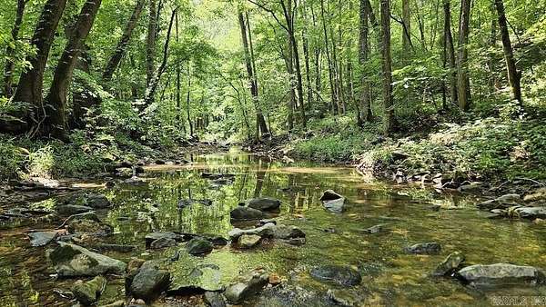 210 Acres of Recreational Land for Sale in Marshall, Arkansas