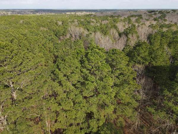 140 Acres of Recreational & Residential Land for Sale in Huttig, Arkansas
