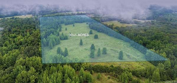 30 Acres of Land for Sale in Greenbrier, Arkansas