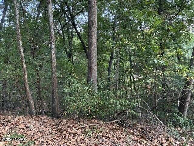 0.46 Acres of Residential Land for Sale in Joplin, Missouri