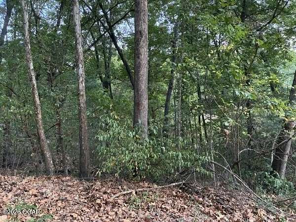 0.46 Acres of Residential Land for Sale in Joplin, Missouri