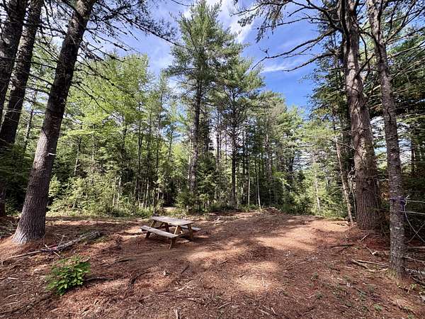 11 Acres of Recreational Land for Sale in Winn, Maine