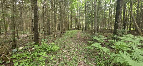 0.64 Acres of Residential Land for Sale in Sault Ste. Marie, Michigan