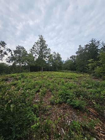 0.4 Acres of Land for Sale in Landrum, South Carolina