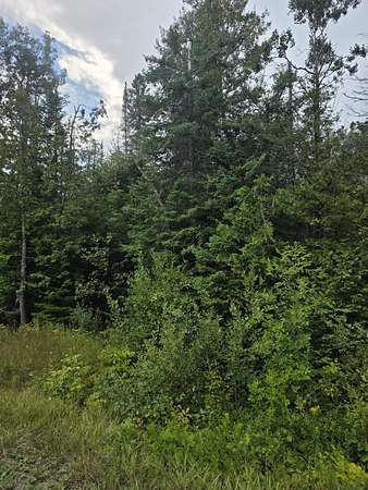 10 Acres of Recreational Land for Sale in Rogers City, Michigan