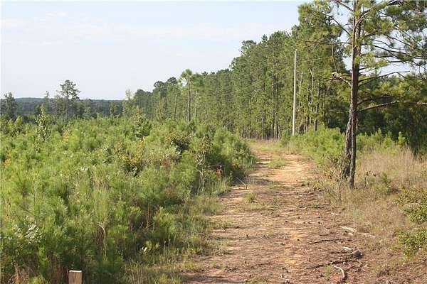 64.4 Acres of Recreational & Residential Land for Sale in Sparta, Georgia