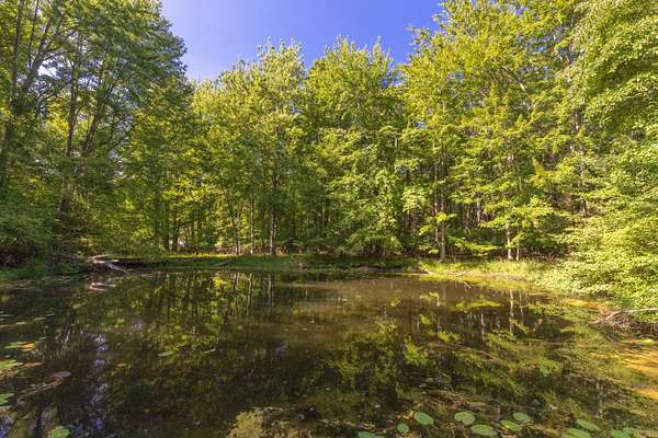 2.87 Acres of Land for Sale in Fennville, Michigan