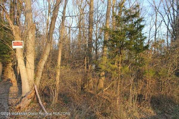 24.6 Acres of Recreational Land for Sale in Lacey, New Jersey