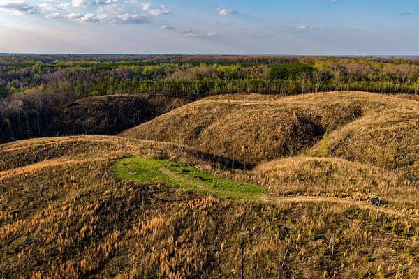 40 Acres of Recreational Land for Sale in Waterloo, Alabama