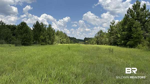 161 Acres of Recreational Land for Sale in Wilmer, Alabama
