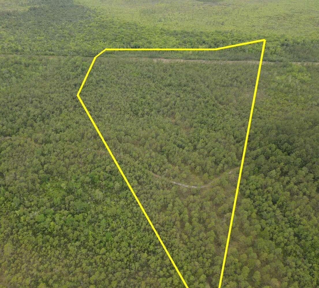 37 Acres of Recreational Land for Sale in Hampstead, North Carolina