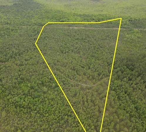 37 Acres of Recreational Land for Sale in Hampstead, North Carolina