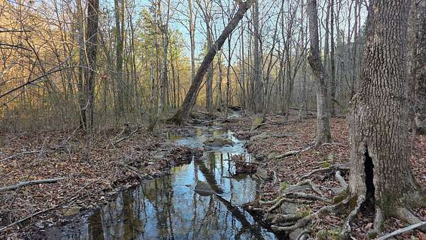 83.5 Acres of Recreational Land for Sale in Heber Springs, Arkansas