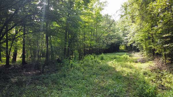 44.5 Acres of Recreational Land for Sale in Ridgeville, South Carolina