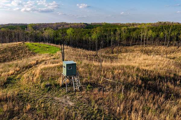 39.8 Acres of Recreational Land for Sale in Waterloo, Alabama