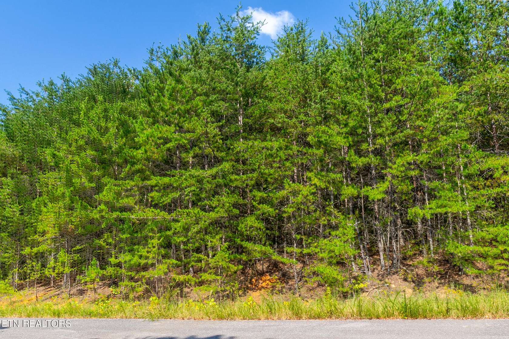 1 Acre of Residential Land for Sale in Newport, Tennessee