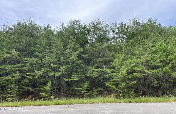 1 Acre of Residential Land for Sale in Cosby, Tennessee