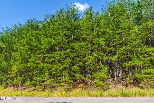 1 Acre of Residential Land for Sale in Newport, Tennessee