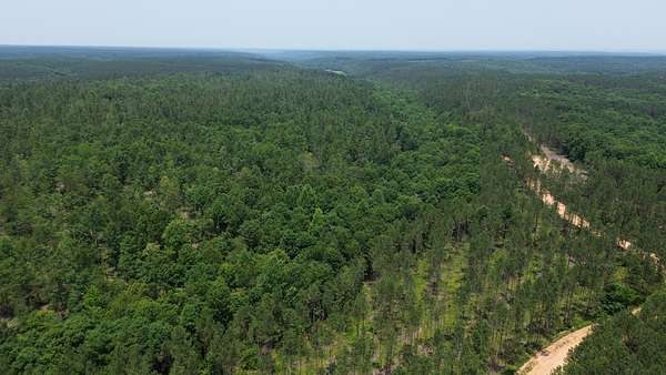 199 Acres of Land for Sale in Centerville, Tennessee