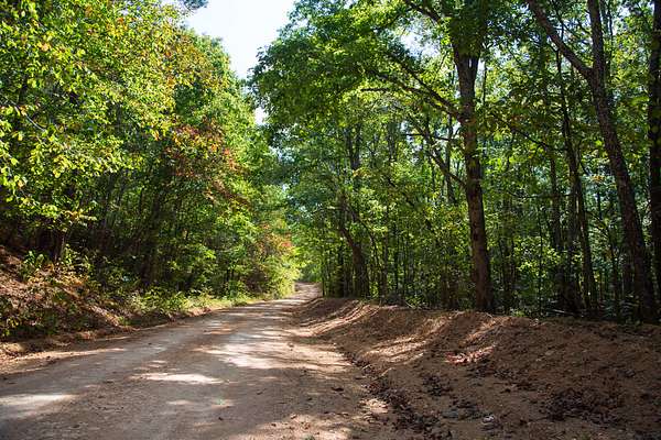 199 Acres of Land for Sale in Centerville, Tennessee