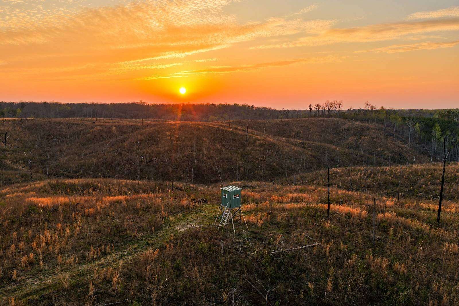 39.9 Acres of Recreational Land for Sale in Waterloo, Alabama