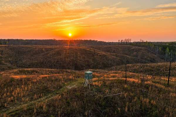 39.9 Acres of Recreational Land for Sale in Waterloo, Alabama
