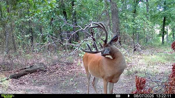 64 Acres of Recreational Land for Sale in Galena, Kansas