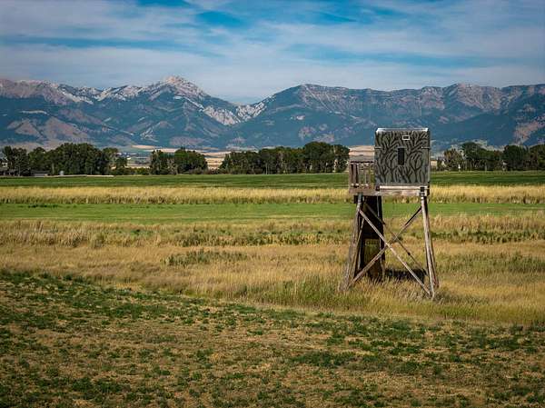 150 Acres of Land for Sale in Belgrade, Montana