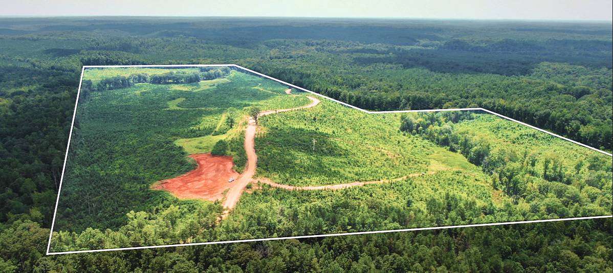 140 Acres of Recreational Land for Sale in Amory, Mississippi