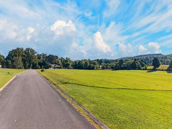 1 Acre of Residential Land for Sale in Spring City, Tennessee
