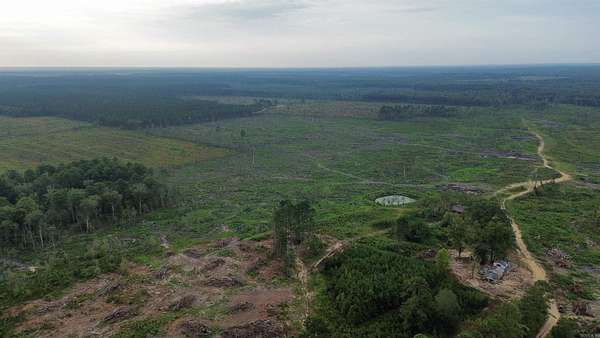 52 Acres of Land for Sale in Glen Rose, Arkansas
