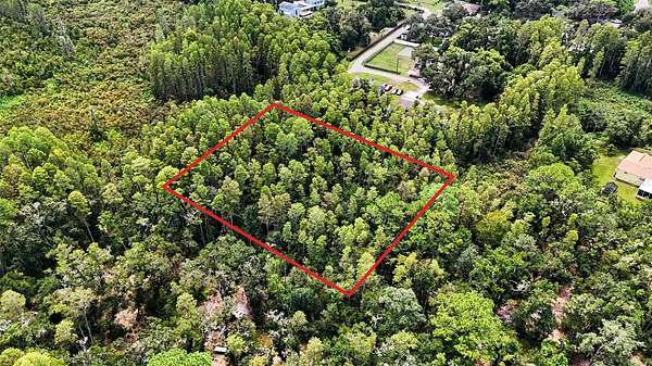 0.57 Acres of Residential Land for Sale in Lutz, Florida