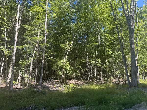 1 Acre of Residential Land for Sale in Limerick, Maine