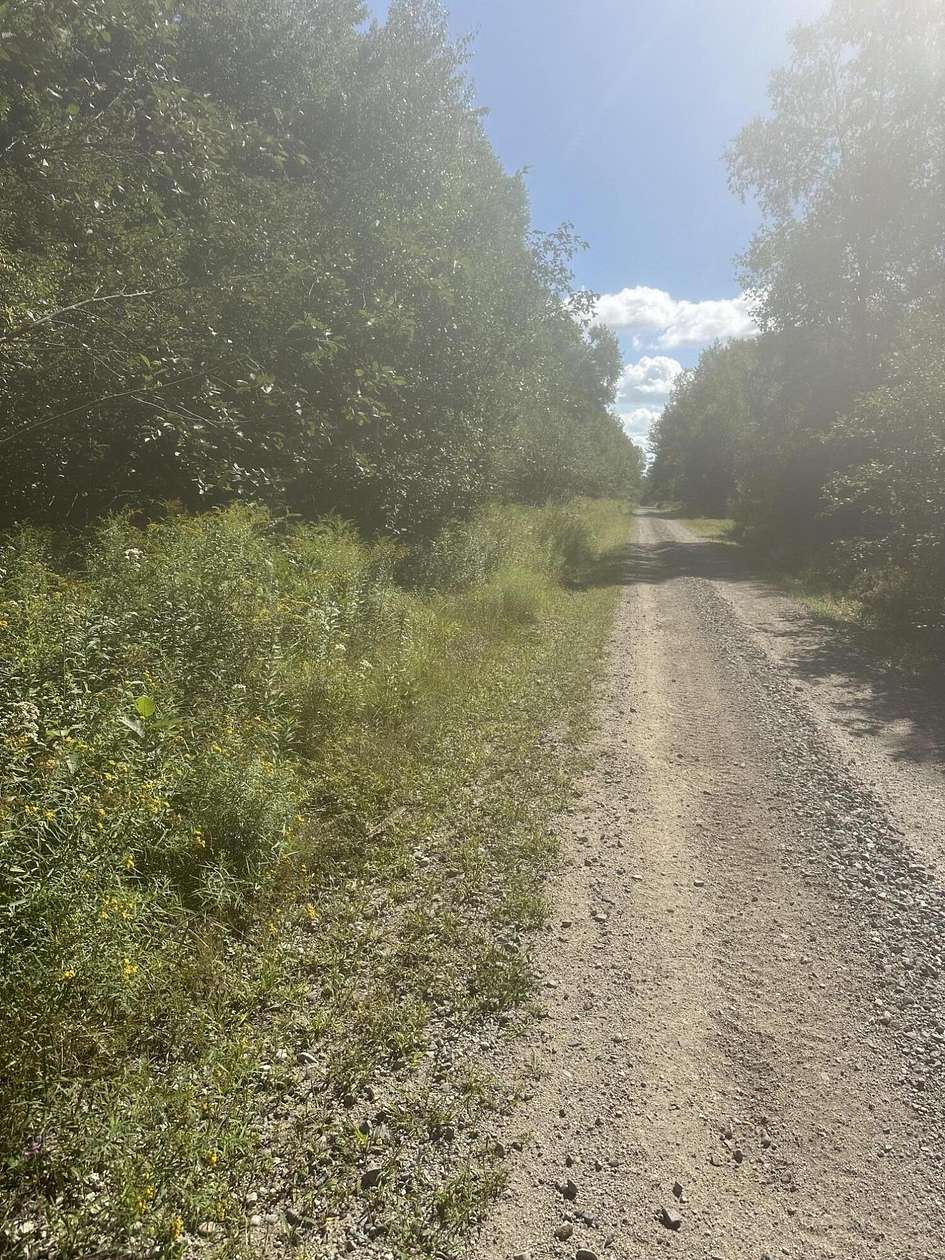 36 Acres of Recreational & Residential Land for Sale in Harrington, Maine